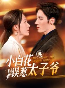 小白花误惹太子爷 