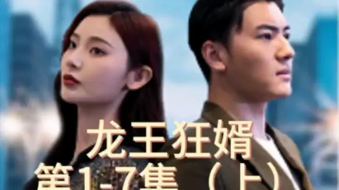 龙王狂婿 