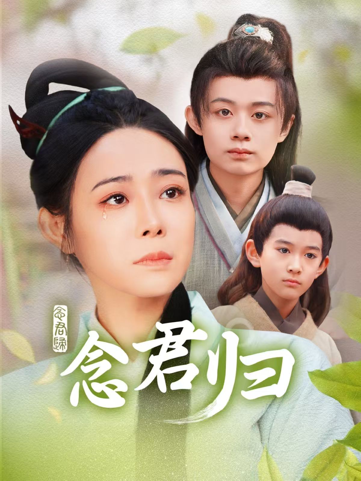 念君归 