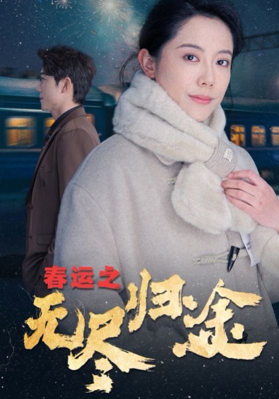 春运之无尽归途 